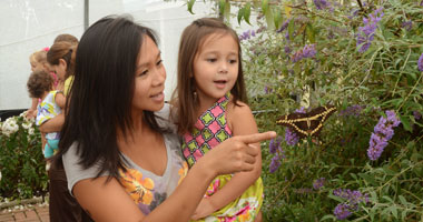 Mom and daughter exploring the Butterfly Atrium at Hershey Gardens