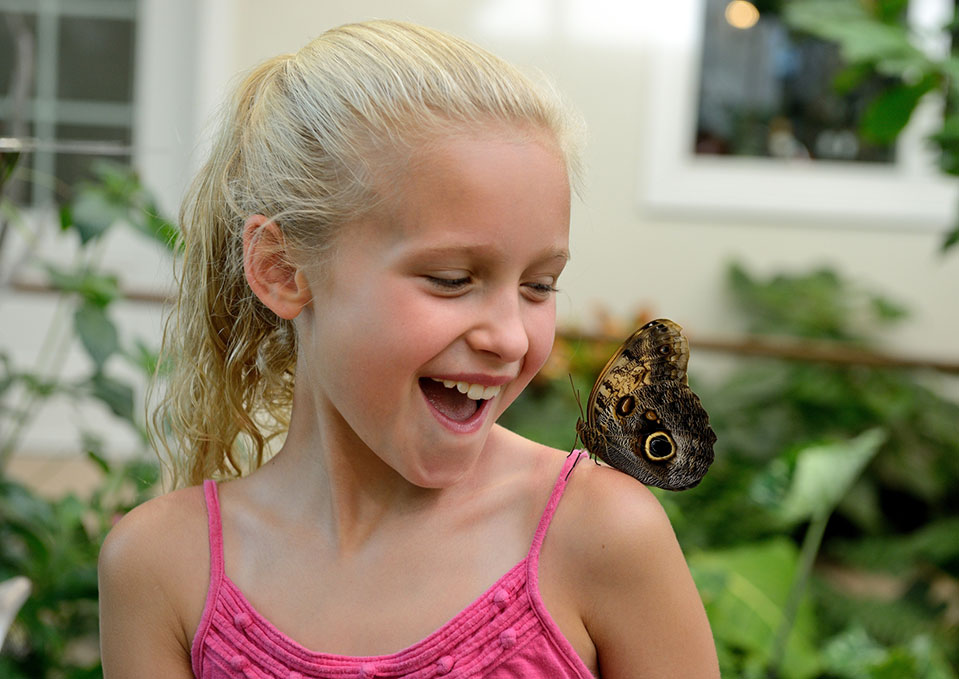 Girl looking at a butterfly at Hershey Gardens