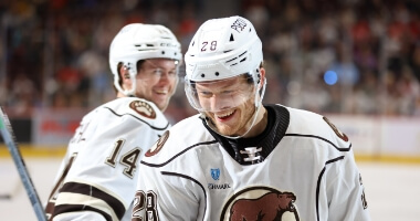 Hershey Bears