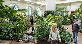 Children exploring the Butterfly Atrium