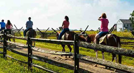People exploring horseback in Gettysburg