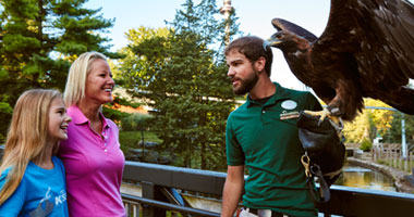 a Zoologist holding an eagle in ZooAmerica